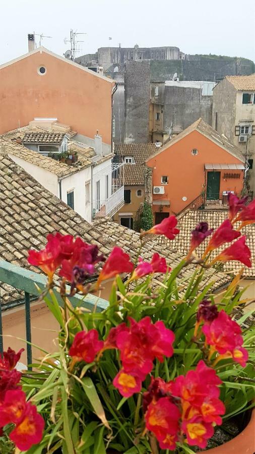 Roof Garden House *