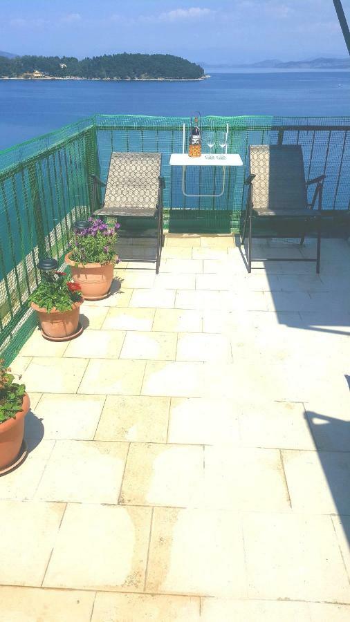 Roof Garden House *