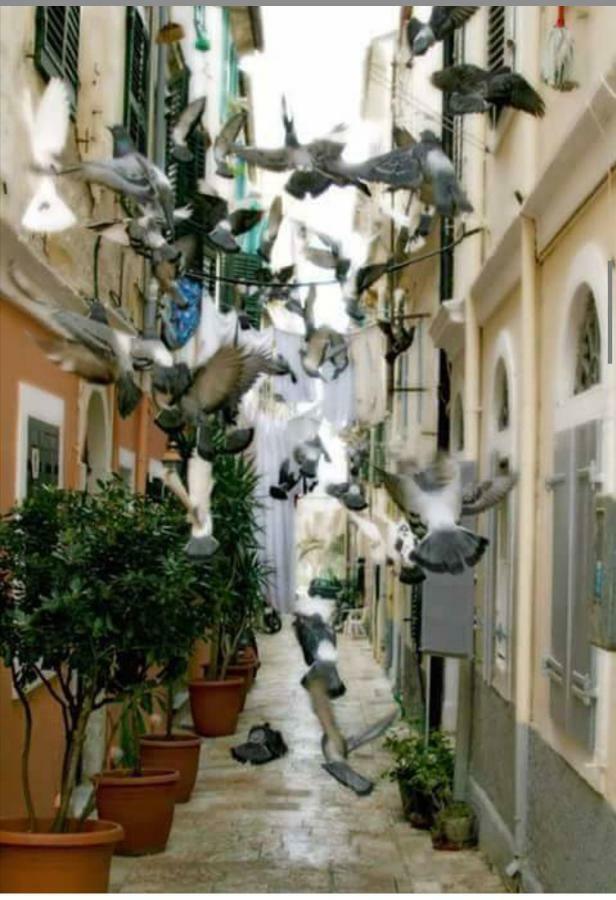 Roof Garden House * Corfu (city)